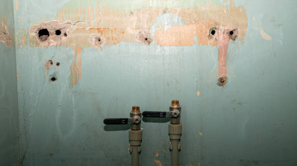 Best Water damage mitigation services  in Wyandanch, NY