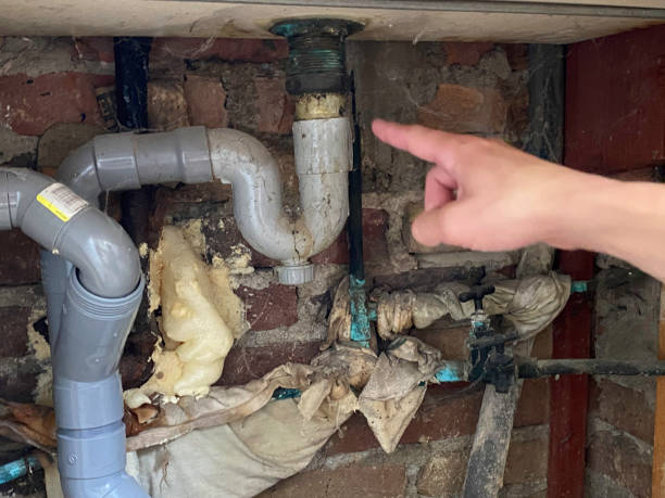 Water damage restoration experts in NY