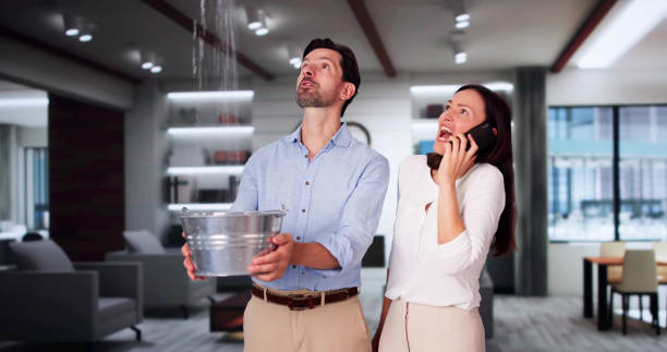 Best Water damage restoration near me  in Wyandanch, NY