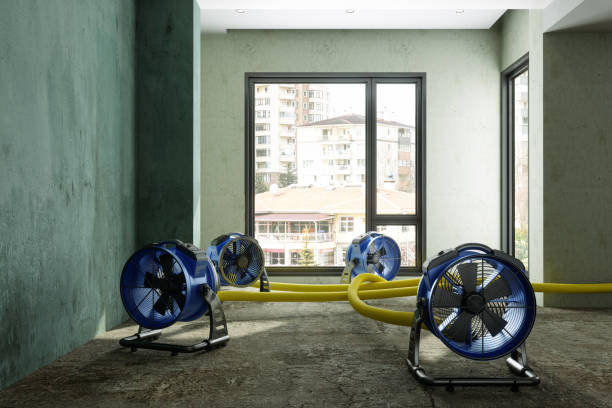 Best Water damage cleanup near me  in Wyandanch, NY